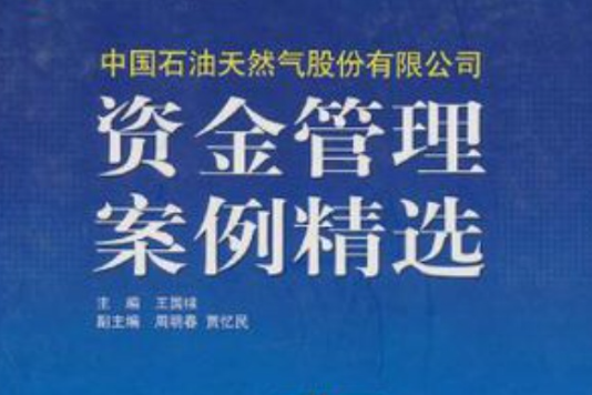 资金管理案例精选