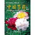 中国芍药