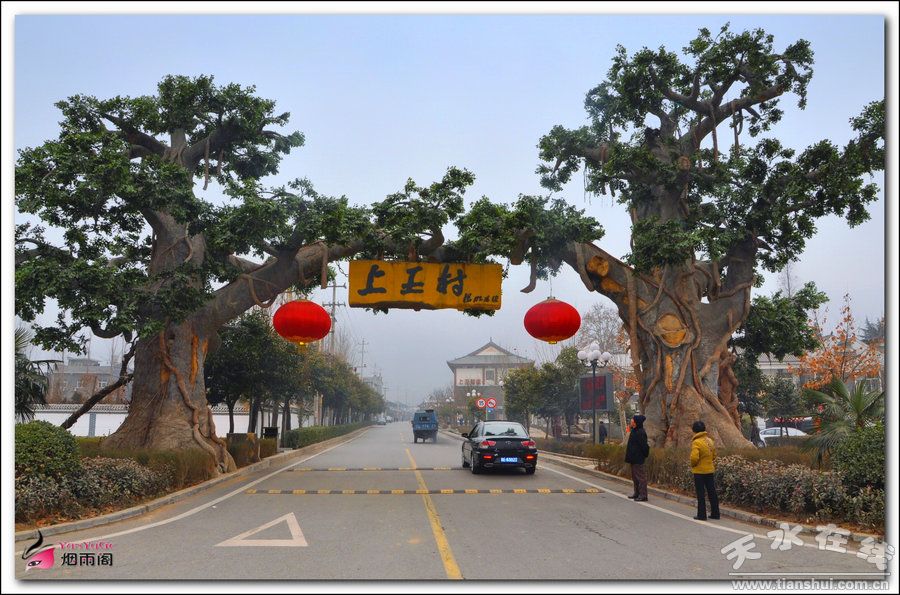上王村(陕西省宝鸡市眉县汤峪镇下辖村)