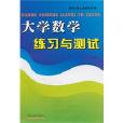 大学数学练习与测试