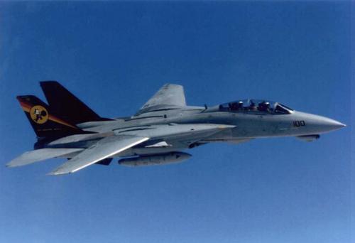 F-14“雄猫”战斗机的双垂尾 F-14“雄猫”战斗机的双垂尾