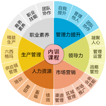 内训(企业进行的培训活动) 内训(企业进行的培训活动)