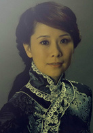追捕(2011年海清主演内地电视剧)