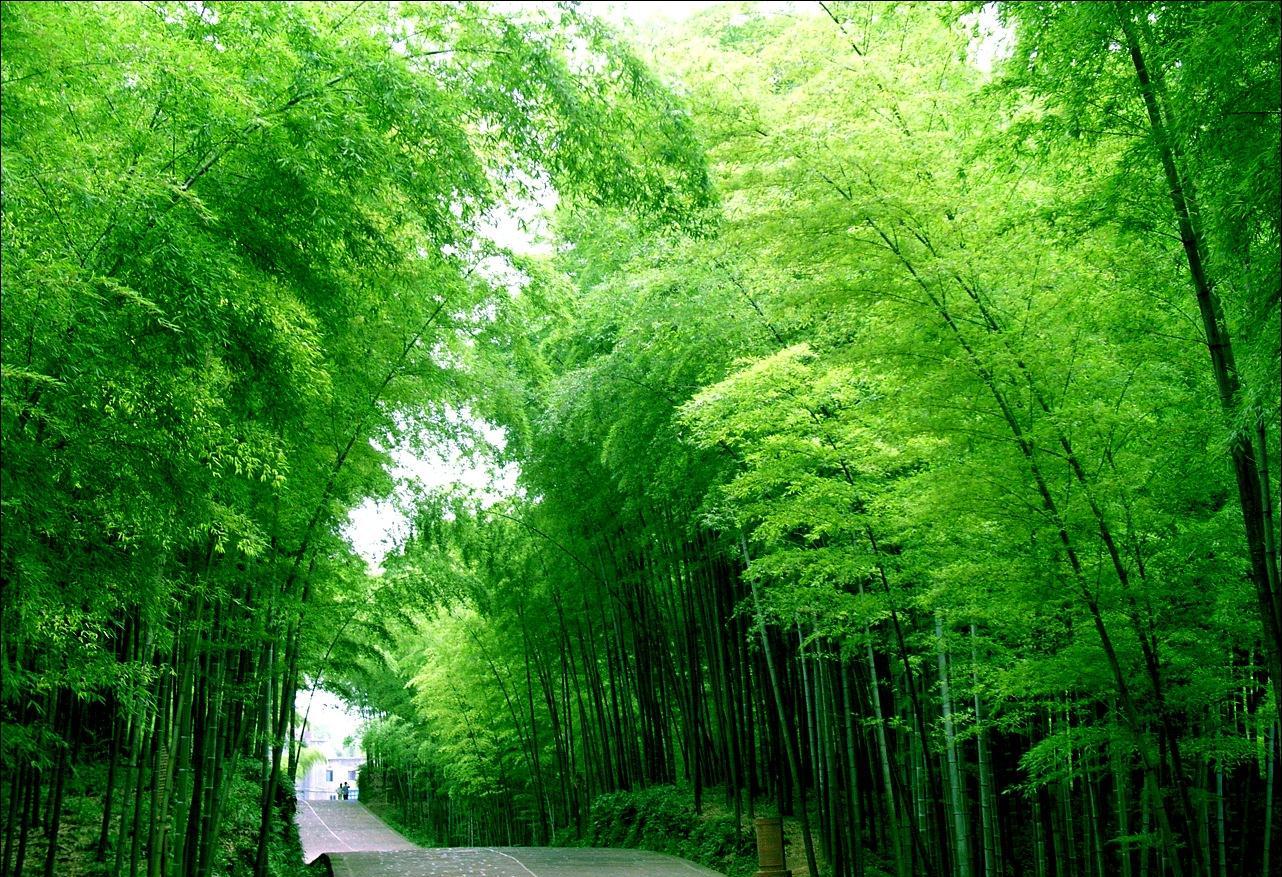 宜宾旅游景区