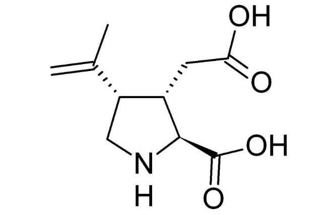 红藻氨酸