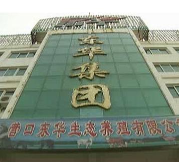 汪振东创办的集团 汪振东创办的集团