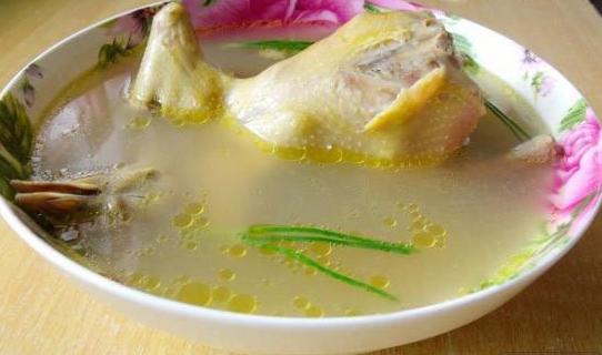 清炖鸽子汤 清炖鸽子汤