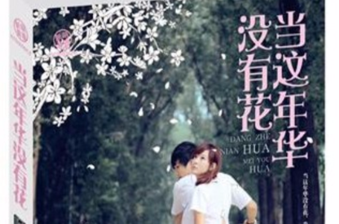 当这年华没有花
