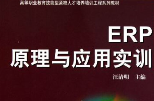 ERP原理与套用实训