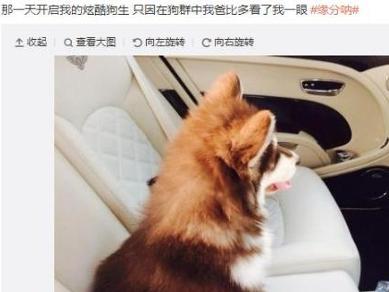 王可可是个碧池微博截图 王可可是个碧池微博截图