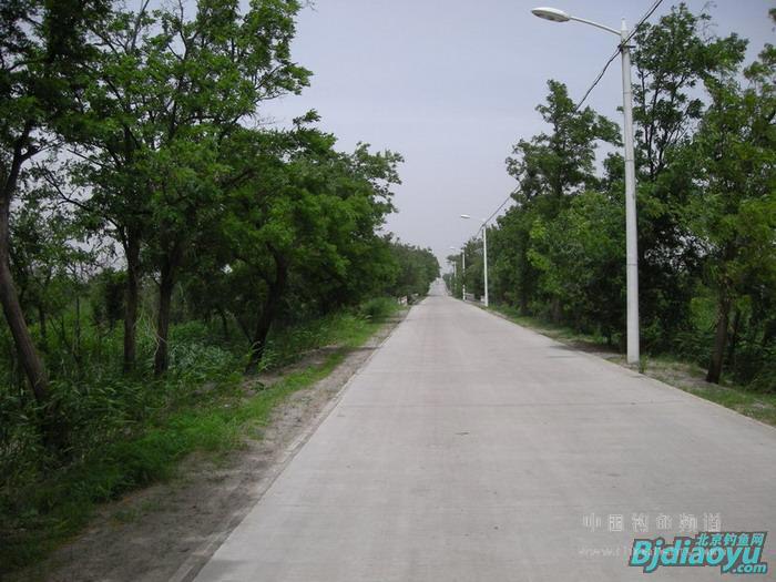 茶淀农场 茶淀农场