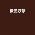 极品妖孽(小说)