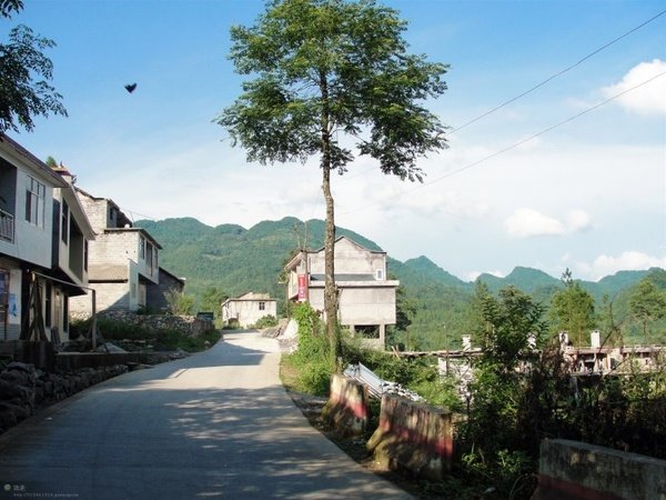 李家湾村(湖南省桑植县龙潭坪镇下辖行政村)