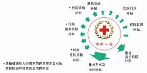 保单现金价值 保单现金价值