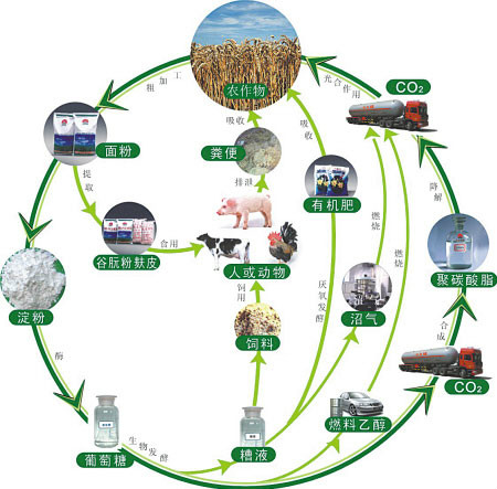 生物质能能量利用图 生物质能能量利用图