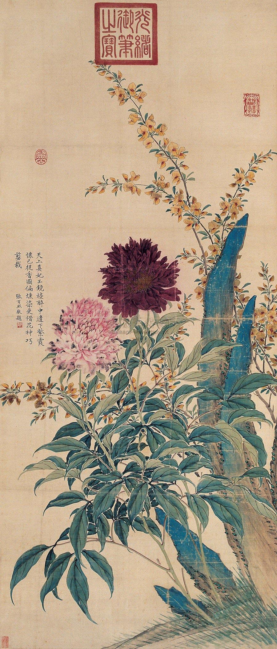 芍药(芍药科、芍药属多年生草本花卉)