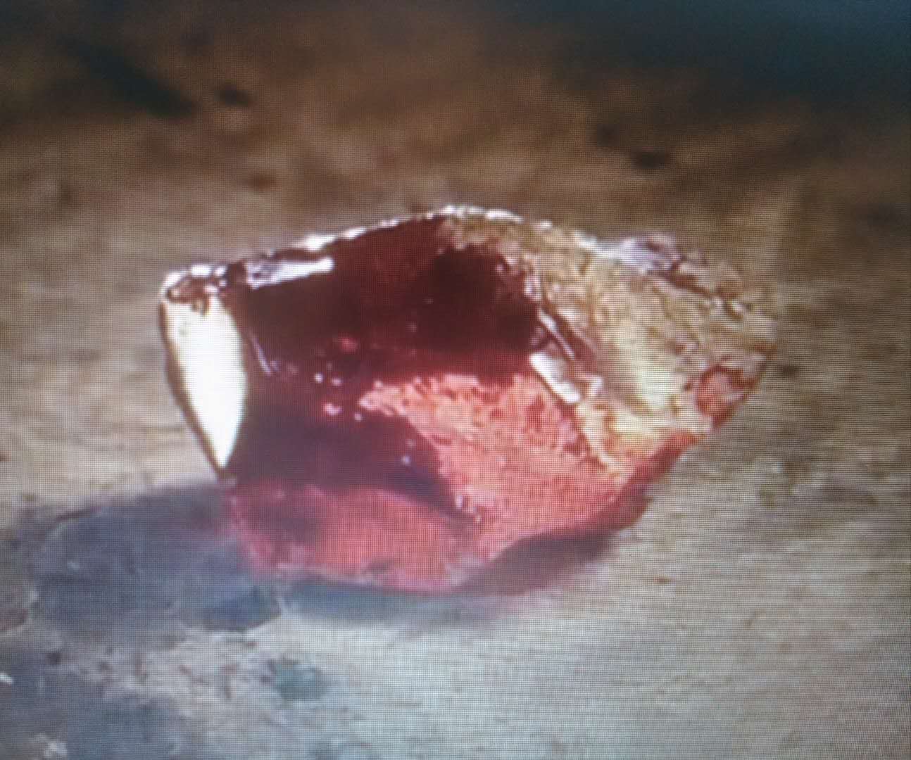 魔法石(哲人石)