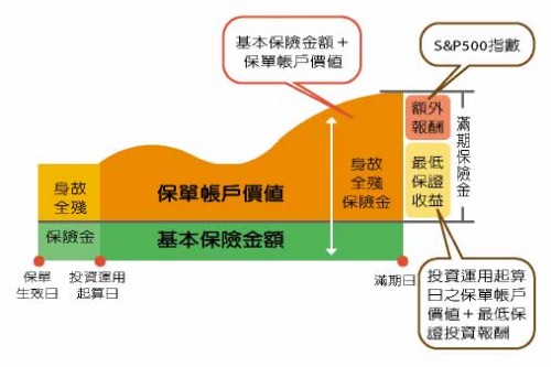 保证保险 保证保险