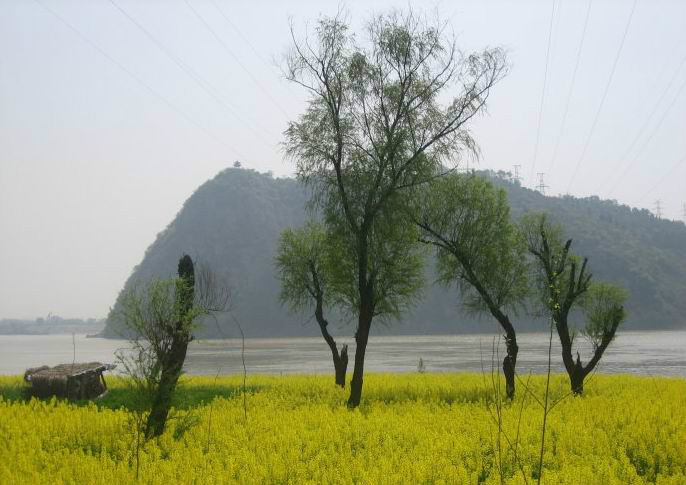 散花洲 散花洲