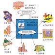 保险管理