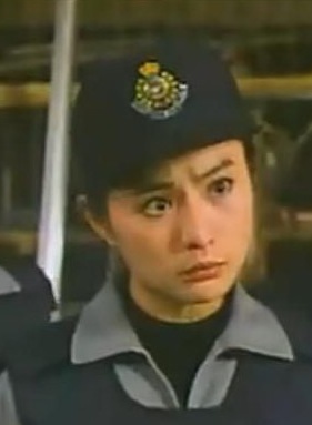 陈淑兰(中国香港演员)