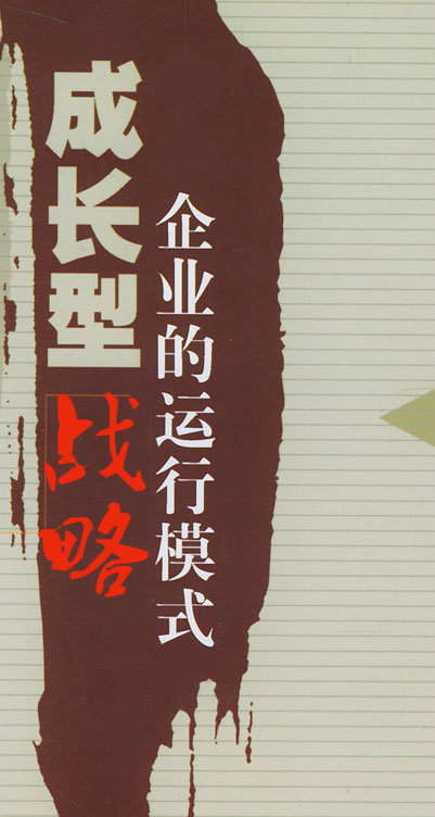 成长型战略