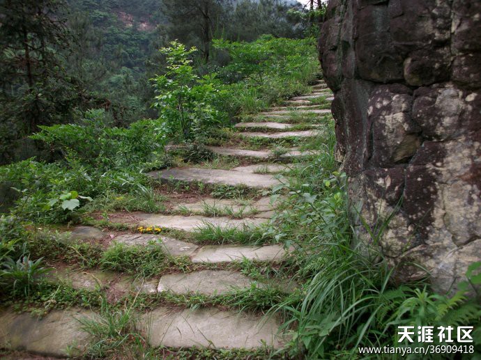 古驿道 古驿道