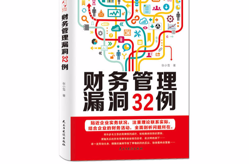财务管理漏洞32例