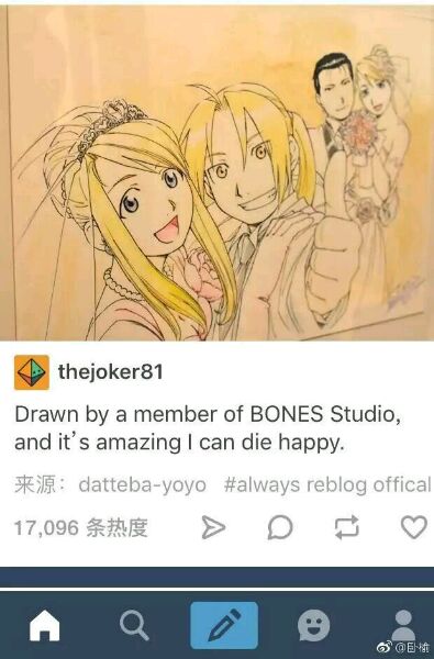莉莎·霍克艾 莉莎·霍克艾