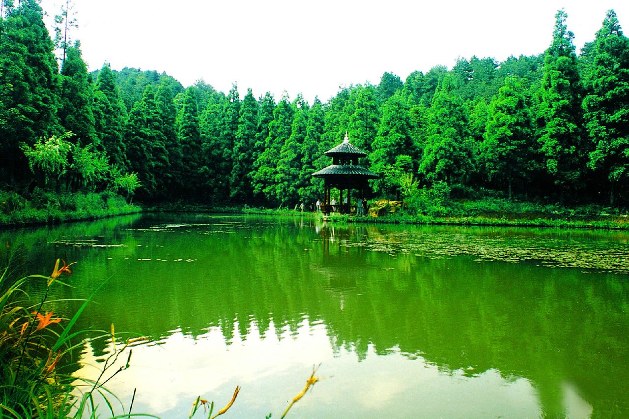 密山 密山