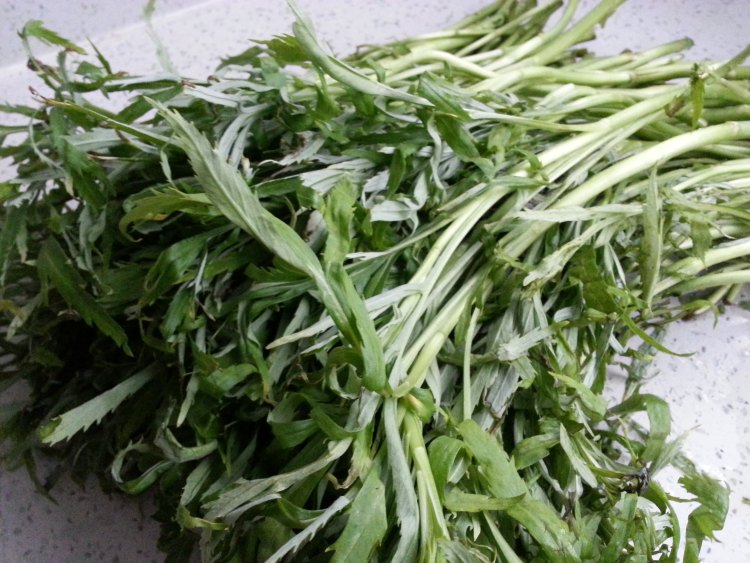 散花藜蒿 散花藜蒿
