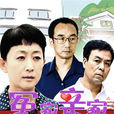 冤家亲家(2015年电视剧)