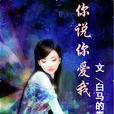 你说你爱我(小说)