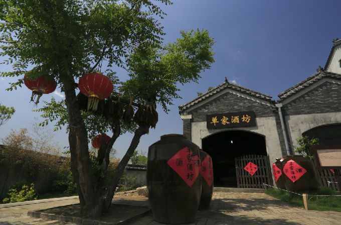 高密