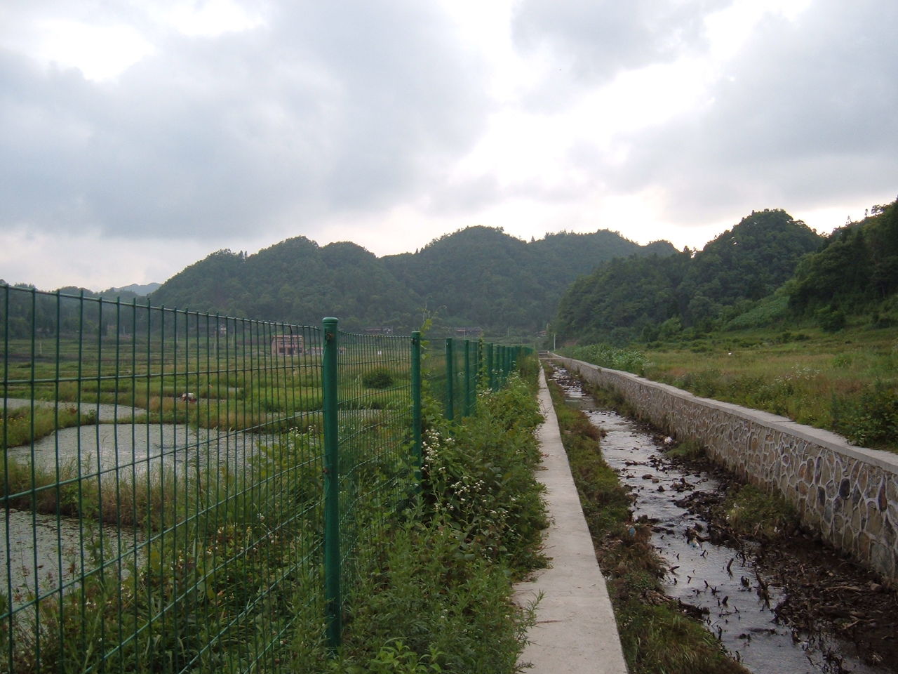 双坪溪流 双坪溪流