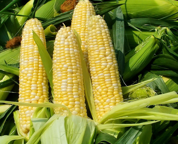 旬邑县(旬邑)