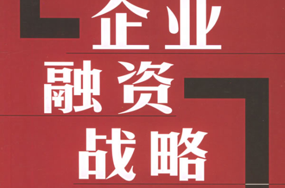 企业融资战略：实务操作与案例分析