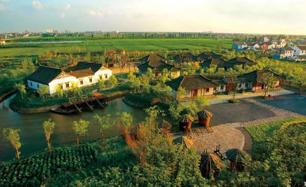 中洪村 中洪村
