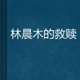林晨木的救赎