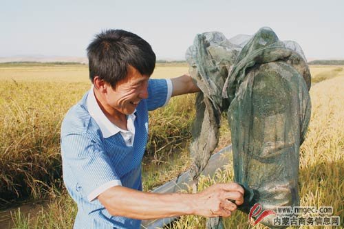 巴达仍贵办事处 巴达仍贵办事处