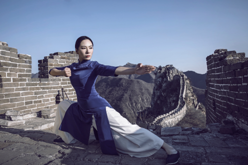 华一(中华文化使者、华佗五禽戏传承人)