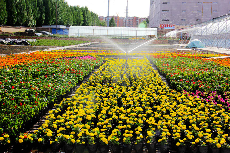 泉山校区 生物系实习基地 泉山校区 生物系实习基地