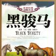 黑骏马(儿童故事《黑骏马》)