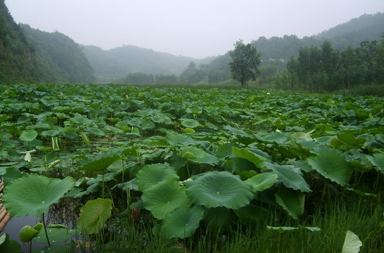 保护区概况 保护区概况