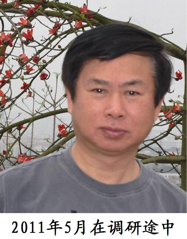 杨亚非 杨亚非