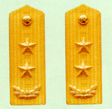 武警中将常服肩章(1988~2007) 武警中将常服肩章(1988~2007)