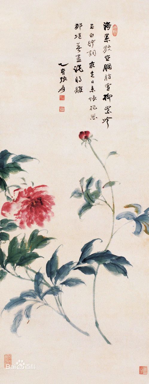 芍药(芍药科、芍药属多年生草本花卉)