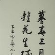 萧劳