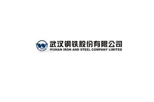武汉钢铁股份有限公司