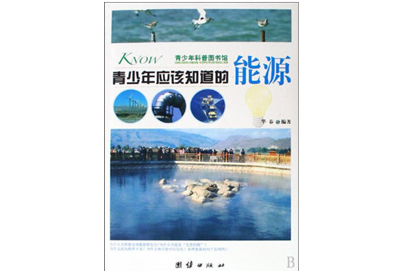 青少年应该知道的能源